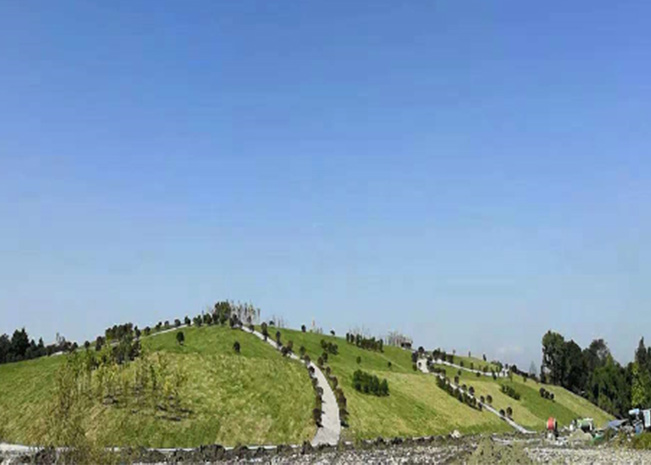 綠地改造工程