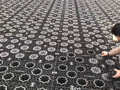 1563440502654943.jpg